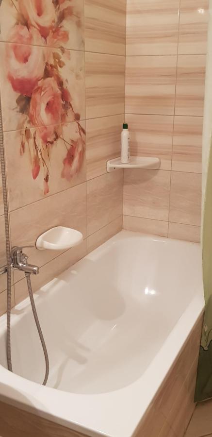 Kalman Panzio Bed & Breakfast Seghedin Exterior foto