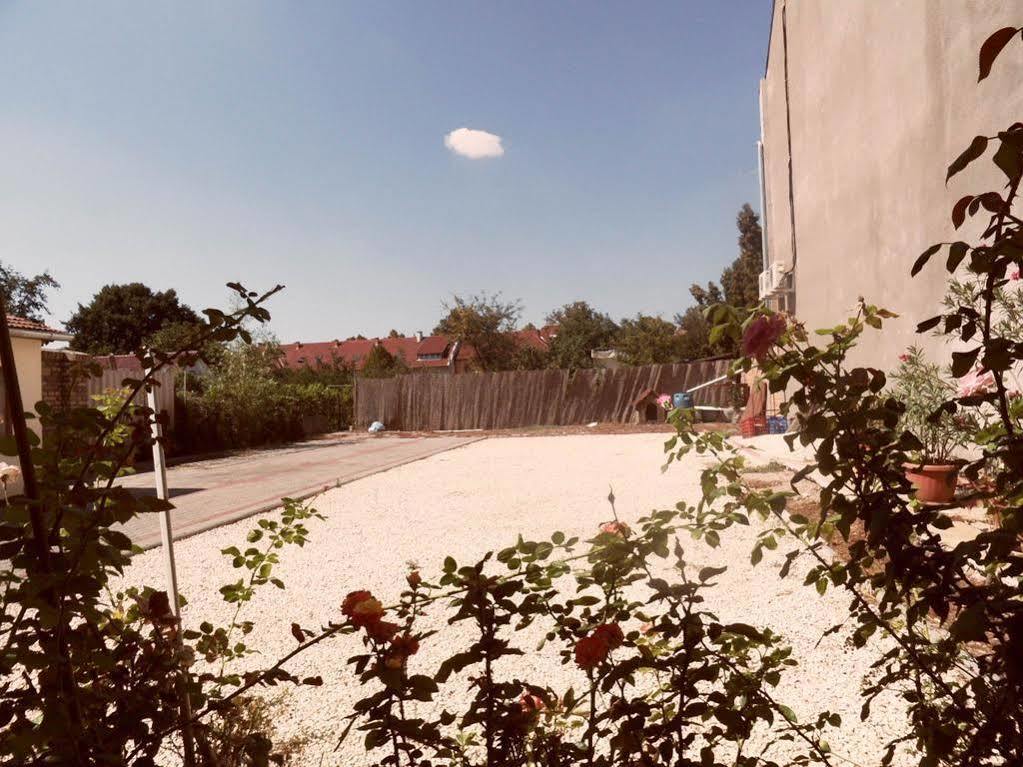 Kalman Panzio Bed & Breakfast Seghedin Exterior foto